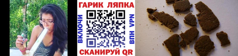 ГАШИШ Cannabis  мориарти наркотические препараты  Жиздра 