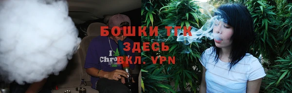 ГАЛЛЮЦИНОГЕННЫЕ ГРИБЫ Белокуриха