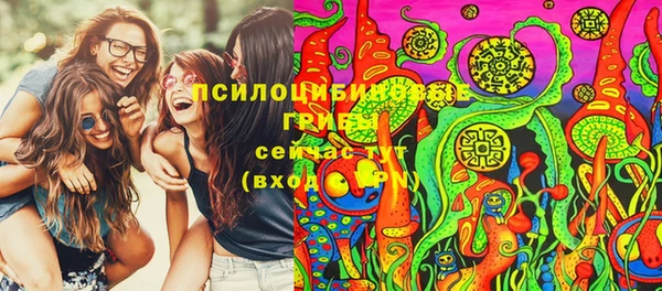 гашик Белоозёрский