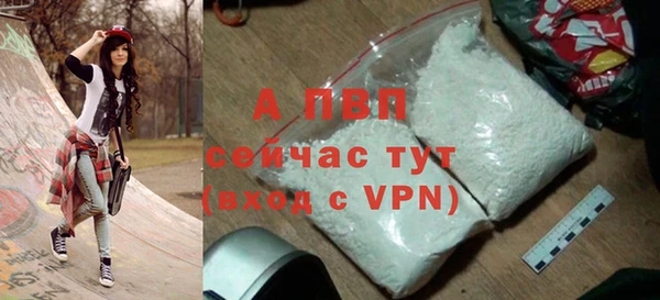 ГАЛЛЮЦИНОГЕННЫЕ ГРИБЫ Белокуриха