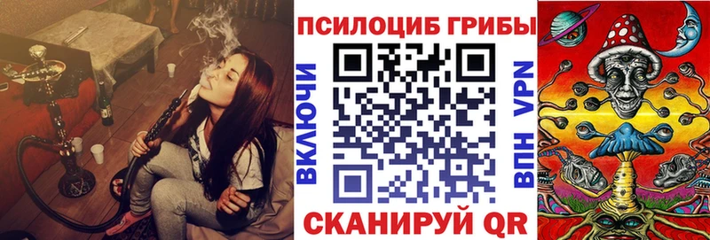 Псилоцибиновые грибы Psilocybe как найти наркотики Жиздра